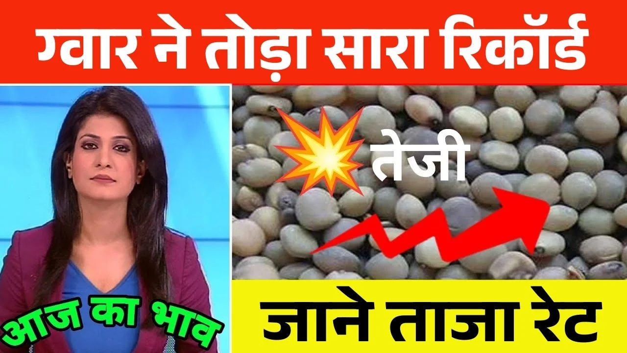 Guar Mandi Taza Bhav Today